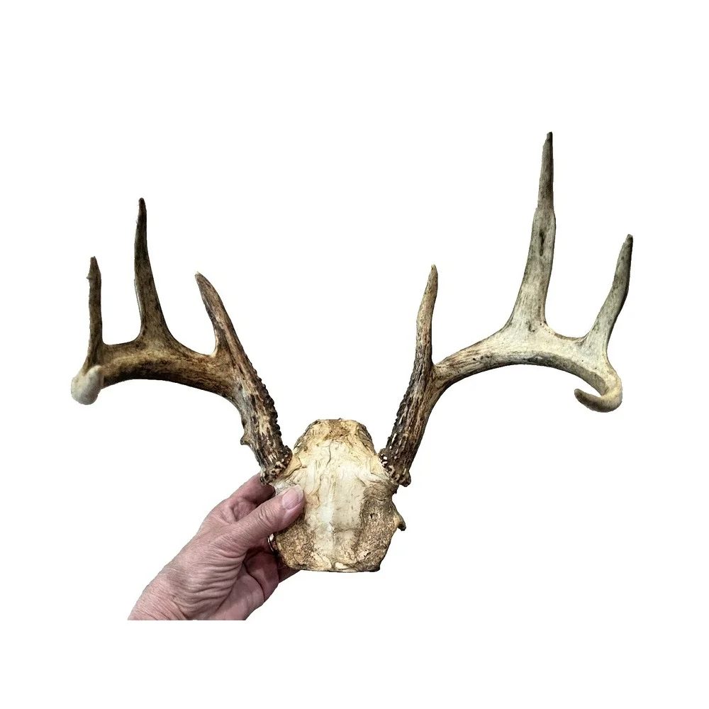 The Unbranded Brand vtg deer